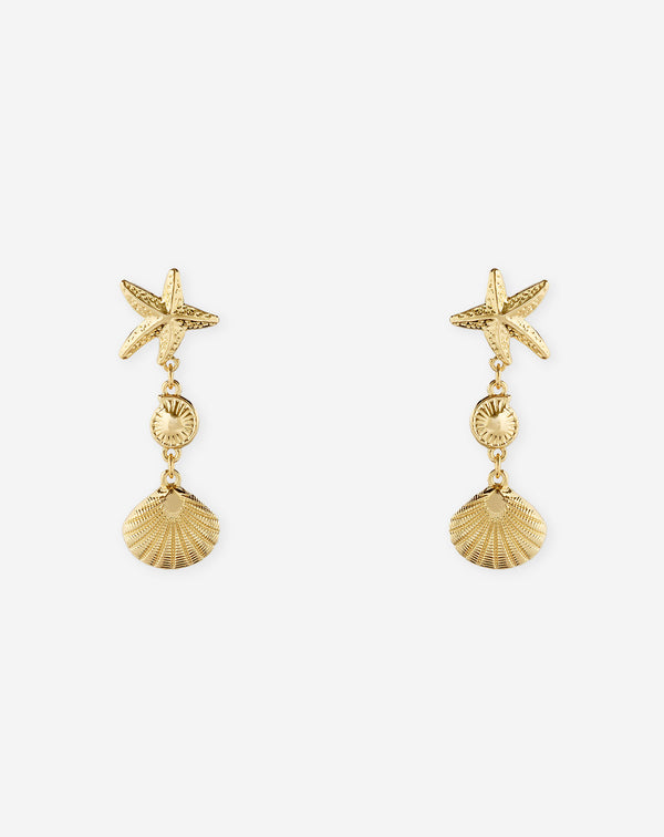 MULTI SEASHELL EARRINGS